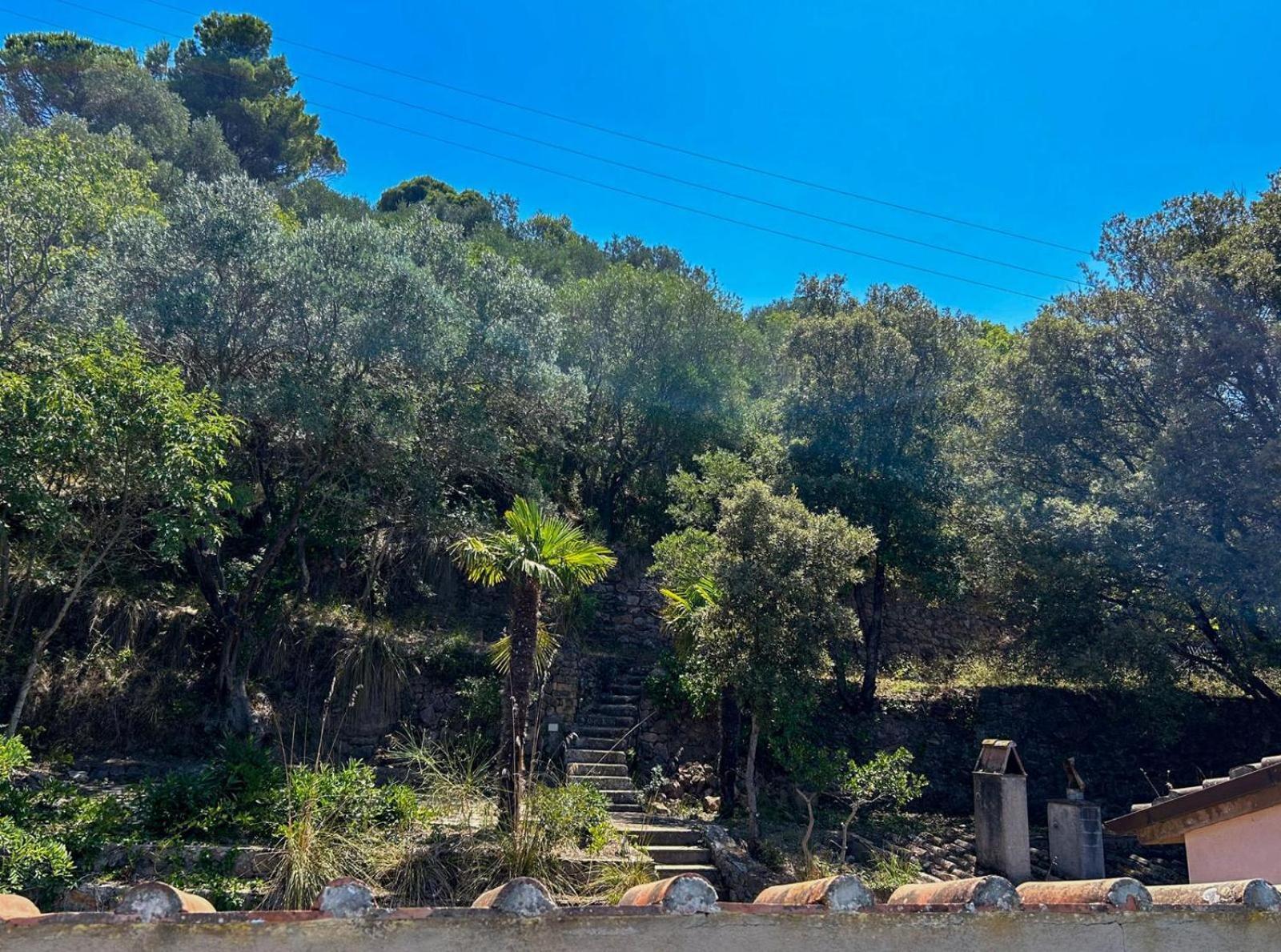 Villa Velta Sea Sunset Porto Santo Stefano  Exterior foto
